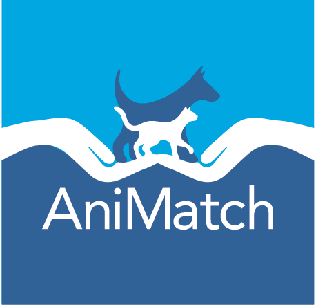 Logo Animatch